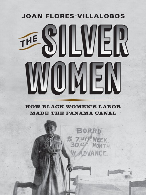 Title details for The Silver Women by Joan Flores-Villalobos - Wait list